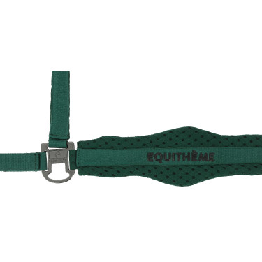 Nylonhalfter Equithème 3D Mesh Grün Gr&amp;amp;amp;amp;amp;amp;amp;amp;uuml;n