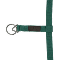 Nylonhalfter Equithème 3D Mesh Königsblau Nylonhalfter Equithème 3D Mesh Königsblau