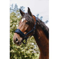 Nylonhalfter Equithème 3D Mesh Marine Marineblau
