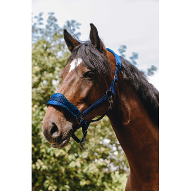 Nylonhalfter Equithème 3D Mesh Nylonhalfter Equithème 3D Mesh