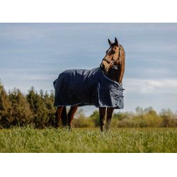Dekken 600D Riding World Eco Marine