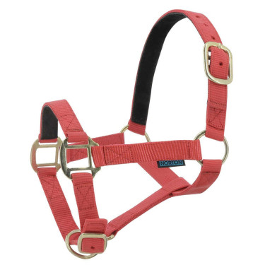 Nylonhalfter mit Leder unterlegt Norton Rot Nylonhalfter mit Leder unterlegt Norton Rot