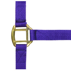 Nylonhalfter mit Leder unterlegt Norton Violett Lila