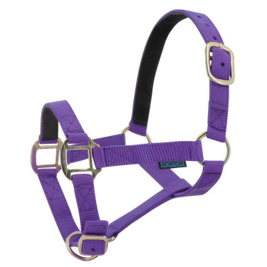 Nylonhalfter mit Leder unterlegt Norton Violett Nylonhalfter mit Leder unterlegt Norton Violett