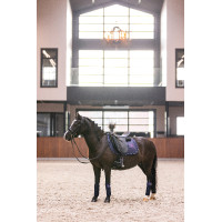 Polo-Bandagen Imperial Riding Cosmic Sparkle Marine Marineblau