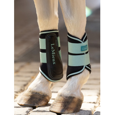 Geschlossene Gamaschen Mini LeMieux Aqua