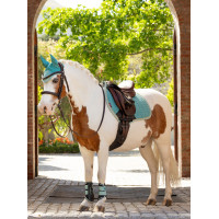 Geschlossene Gamaschen Mini LeMieux Aqua Geschlossene Gamaschen Mini LeMieux Aqua