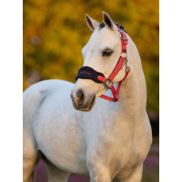 Schafhalfter Vogue Mini LeMieux mit Führstrick Chilli Rot Schafhalfter Vogue Mini LeMieux mit Führstrick Chilli Rot