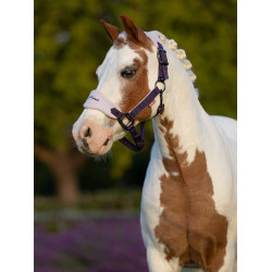 Schafhalfter Vogue Mini LeMieux mit Führstrick Schafhalfter Vogue Mini LeMieux mit Führstrick