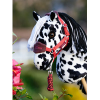 Halfter und Führstrick Vogue Hobby Horse LeMieux Lagune Blau Halfter und Führstrick Vogue Hobby Horse LeMieux Lagune Blau