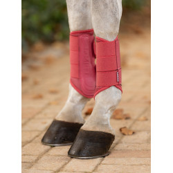 Weiche Gamaschen LeMieux Mesh Arika Cranberry Rosa