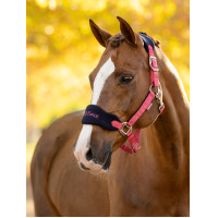 Halfter und Führstrick LeMieux Vogue Esme Blaues Korn