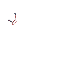 Halfter und Führstrick LeMieux Vogue Esme Blaues Korn