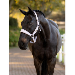 Halfter LeMieux Versailles Flieder Lila