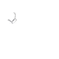 Halfter LeMieux Versailles Fern Gr&uuml;n