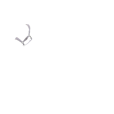 Halfter LeMieux Versailles Flieder Lila