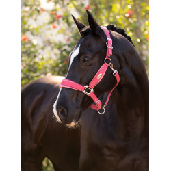 Halfter LeMieux Versailles Cranberry Rosa Halfter LeMieux Versailles Cranberry Rosa