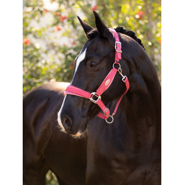 Halfter LeMieux Versailles Cranberry Rosa Halfter LeMieux Versailles Cranberry Rosa