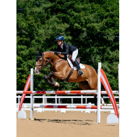Satteldecke LeMieux Loire Close Contact Square Springen Benetton Blau