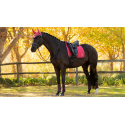 LeMieux Loire Dressur Schabracke Cranberry Rosa
