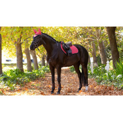 LeMieux Reflective Suede Close Contact Square Schabracke Cranberry Rosa LeMieux Reflective Suede Close Contact Square Schabracke Cranberry Rosa