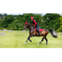 LeMieux Reflective Suede Close Contact Square Schabracke Marineblau