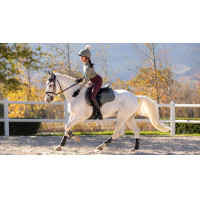 LeMieux Reflektierendes Wildleder Unisex GP Schabracke