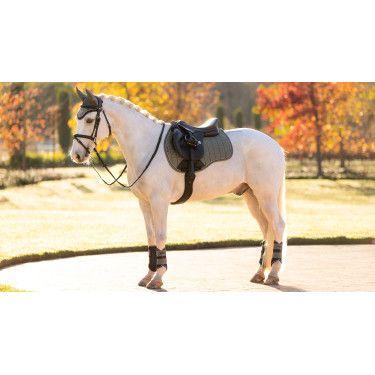 LeMieux Reflektierendes Wildleder Unisex GP Schabracke LeMieux Reflektierendes Wildleder Unisex GP Schabracke