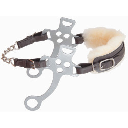 Hackamore T de T Hackamore T de T
