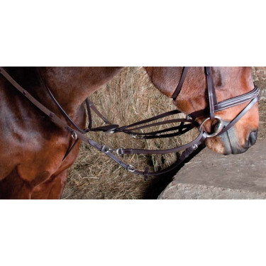 Howlett T Martingal Howlett T Martingal