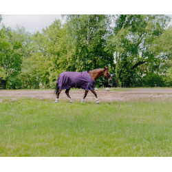 Equithème Tyrex Aisance 600D Decke Pflaume Lila