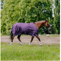 Equithème Tyrex Aisance 600D Decke Pflaume Lila