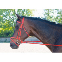 Bridon Biotack® T de T Rouge