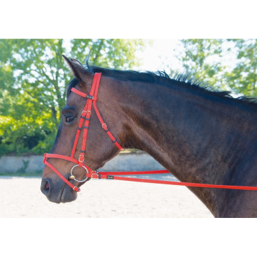 Trensenzaum Biotack® T de T Trensenzaum Biotack® T de T
