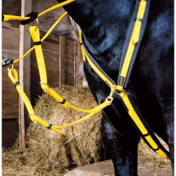 Brustblatt Biotack T de T Gelb