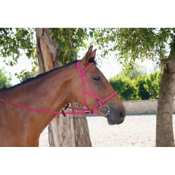 Trensenzaum Halfter Biotack® T de T Fuchsie Rosa