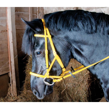 Trensenzaum Halfter Biotack® T de T Gelb