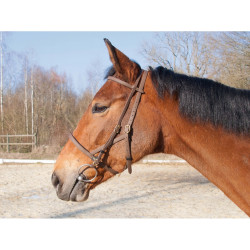 Trensenzaum Halfter Biotack® T de T Trensenzaum Halfter Biotack® T de T