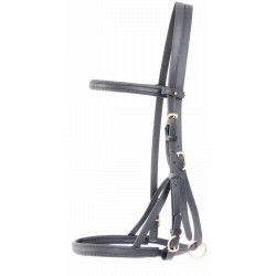 Trensenzaum Halfter Biotack® T de T Schwarz