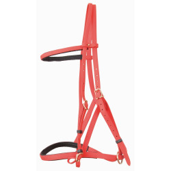 Bridon licol Biotack® T de T Orange