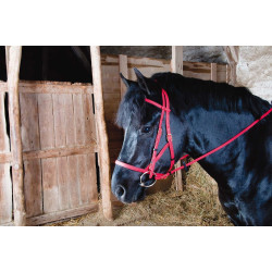 Trensenzaum Halfter Biotack® T de T Rot