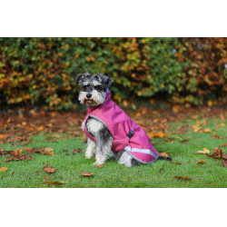 Hundedecke Bucas Freedom 50g Himbeere Rot