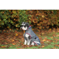 Hundedecke Bucas Freedom 50g Rauchgrau