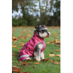 Hundedecke Bucas Freedom 300g Himbeere Rot