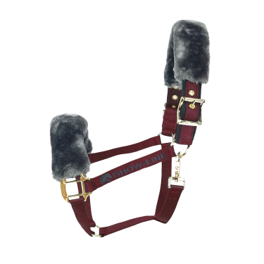 Bucas Show-Line Halfter Bordeaux / Schwarz