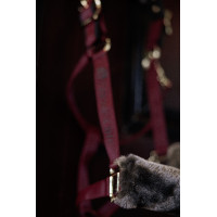 Bucas Show-Line Halfter Bordeaux / Schwarz