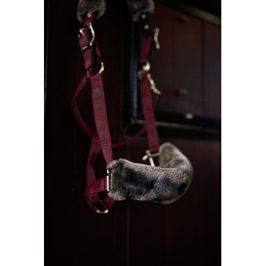 Bucas Show-Line Halfter Bordeaux / Schwarz