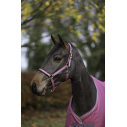 Halfter Bucas Dublin Himbeere Rot Halfter Bucas Dublin Himbeere Rot