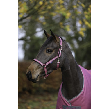 Halfter Bucas Dublin Himbeere Rot Halfter Bucas Dublin Himbeere Rot