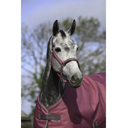 Halfter Bucas Dublin Himbeere Rot Halfter Bucas Dublin Himbeere Rot